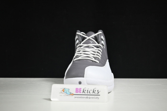 air jordan 12 stealth ct8013-015