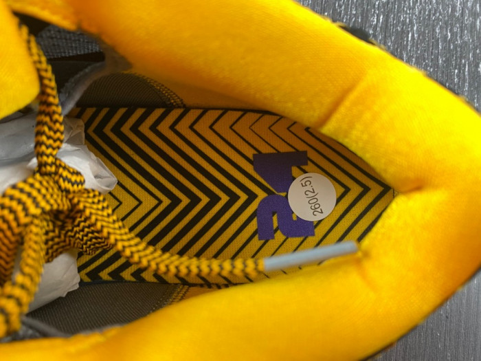 nike kobe 4 protro carpe diem av6339-001