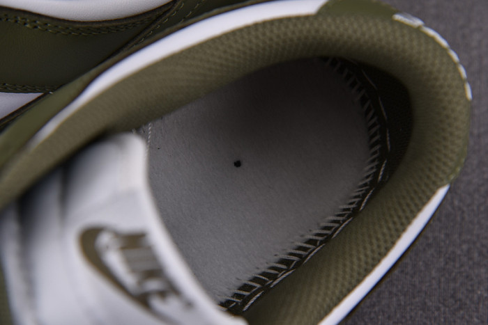 Nike Dunk Low Medium Olive (W) DD1503-120