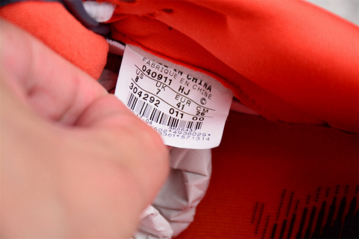 nike sb dunk low staple nyc pigeon 304292-011