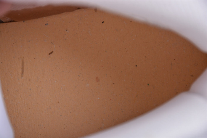 air jordan 6 retro gold hoops (women