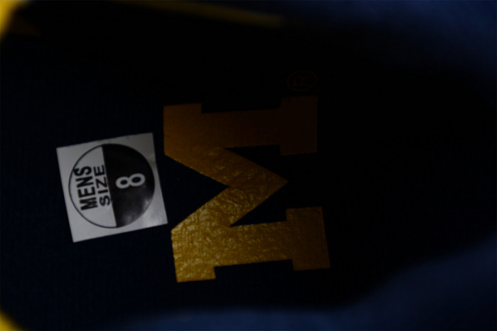 air jordan 4 retro michigan (pe) aj4 1036660