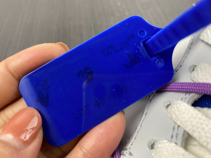 ofw x dunk low “48 of 50” dm1602-107