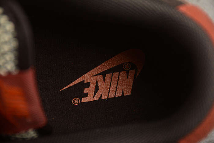 nike dunk low "red panda" fv0395-200