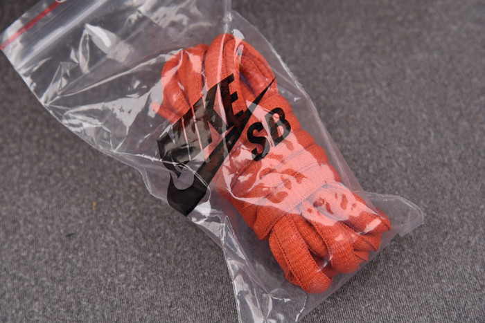 nike sb dunk low top ramen 313170-101